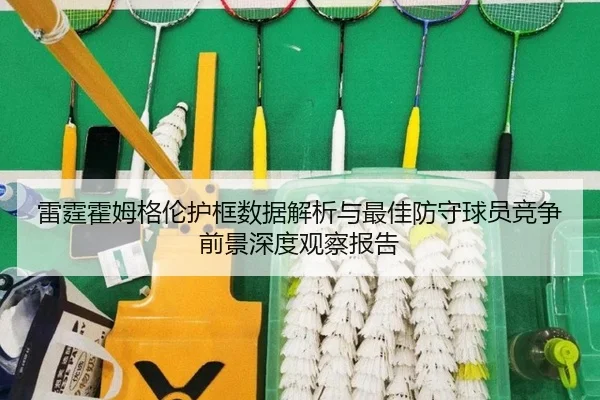 雷霆霍姆格伦护框数据解析与最佳防守球员竞争前景深度观察报告